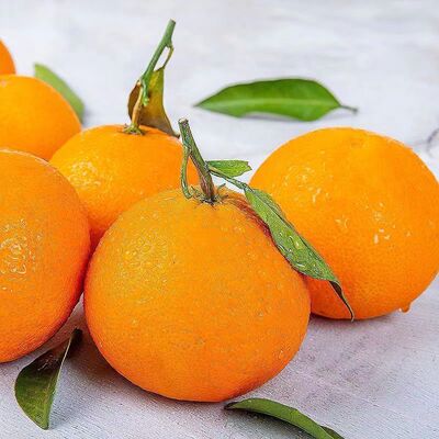 新鲜爱媛果冻橙夏橙新鲜橙子水果当季整箱甜柑橘10斤批发大果包邮
