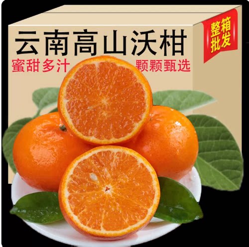 云南沃柑9斤新鲜水果当季整箱大理应季柑橘
