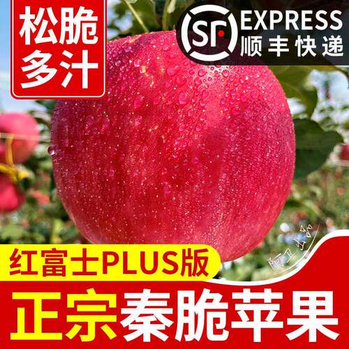 正宗陕西秦脆苹果2024新嘎嘣脆脆甜多汁当季新鲜水果红苹果非富士