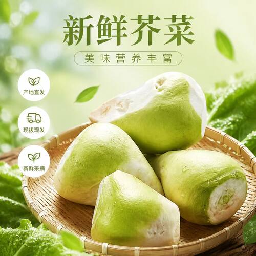 【鲜货】新鲜芥菜头腌咸菜旮沓辣菜丝大头菜嘎达榨菜蔬菜芥菜