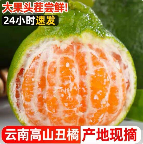 丑橘耙耙柑橘子水果当季丑八怪粑粑柑9斤桔子整箱包邮丑桔柑
