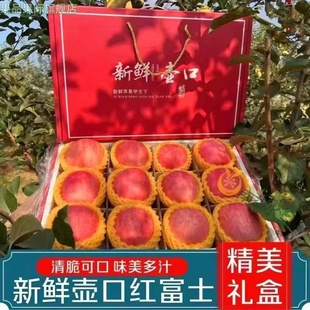 【顺丰礼盒装】新鲜红富士苹果壶口苹果送礼佳品产自山西吉县