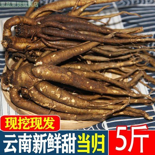 云南新鲜甜当归西归芹根整根散装独角归5斤包邮新鲜现挖煲汤药材