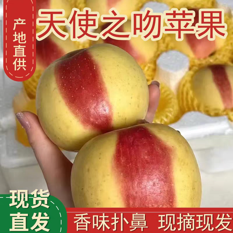 黄元帅苹果一点红天使大吻彩虹果富士新鲜应季孕妇水果,水产肉类/新鲜蔬果/熟食,苹果,淘宝优惠券,粉丝福利购,淘宝优惠卷
