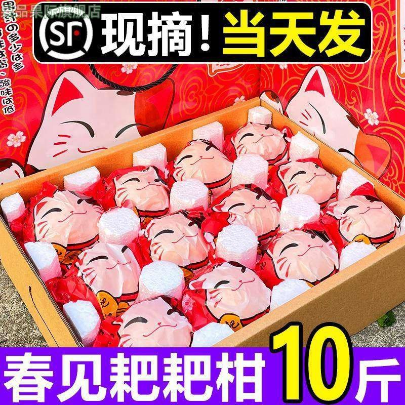 春见耙耙柑新鲜粑粑柑10斤当季水果丑八怪蜜橘桔子整箱,水产肉类/新鲜蔬果/熟食,桔子,淘宝优惠券,粉丝福利购,淘宝优惠卷