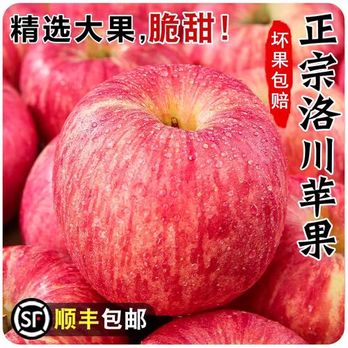 【顺丰上门】正宗洛川苹果新鲜水果当季红富士苹果脆甜整箱包邮