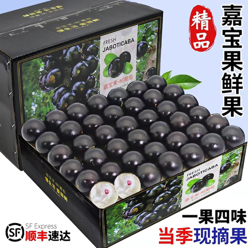 顺丰嘉宝果鲜新鲜树葡萄水果5斤罕见大果整箱当季沙巴嘉宝果酸甜