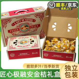 匠心极融安滑皮金桔礼盒装 独立小包装广西新鲜金橘水果包邮