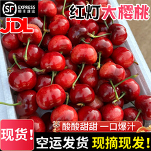 现货山东红灯大樱桃露天酸甜樱桃新鲜水果国产车厘子当季孕妇现摘