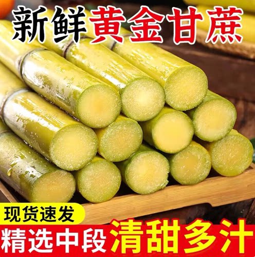广西黄金甘蔗新鲜整根青皮水果应当季整箱脆