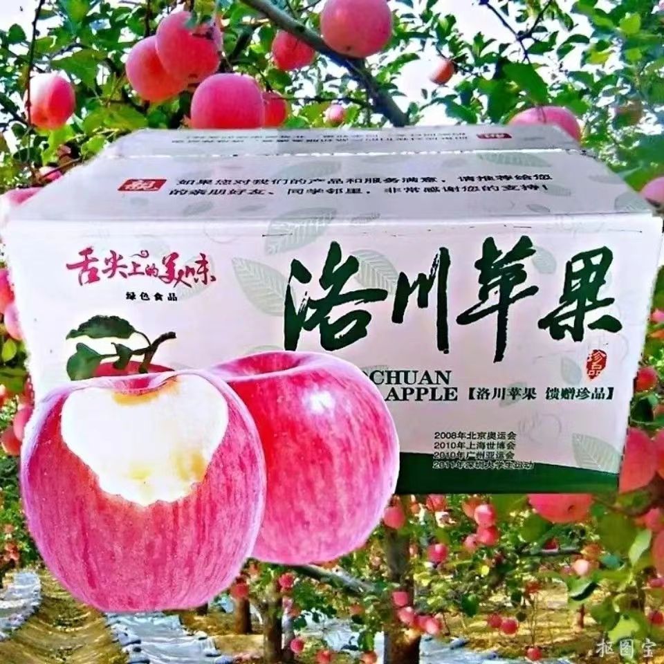 正宗新陕西延安洛川红富士苹果正宗旗舰店红富士10斤现摘现发m