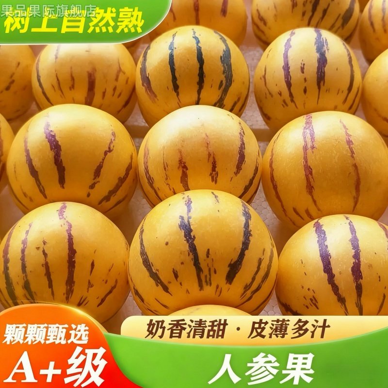 云南人参果大果10斤圆果当季新鲜孕妇水果黄肉人生果整箱包邮,水产肉类/新鲜蔬果/熟食,人参果,淘宝优惠券,粉丝福利购,淘宝优惠卷