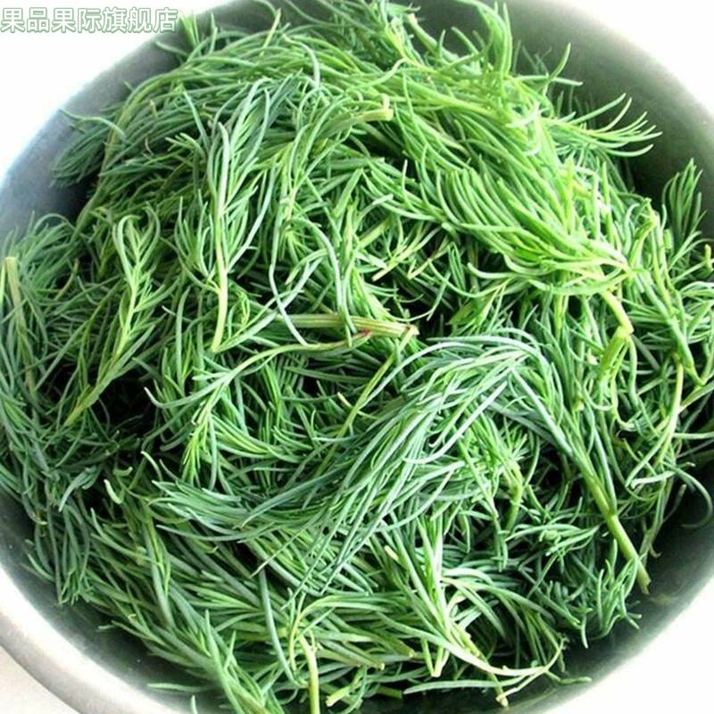2026新鲜黄须菜野菜盐蒿菜黄西菜黄茎菜盐地碱蓬菜海蓬菜顺丰包邮