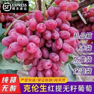 顺丰新鲜克伦生无籽红提整箱包邮现摘5斤脆甜鲜葡萄孕妇水果礼盒