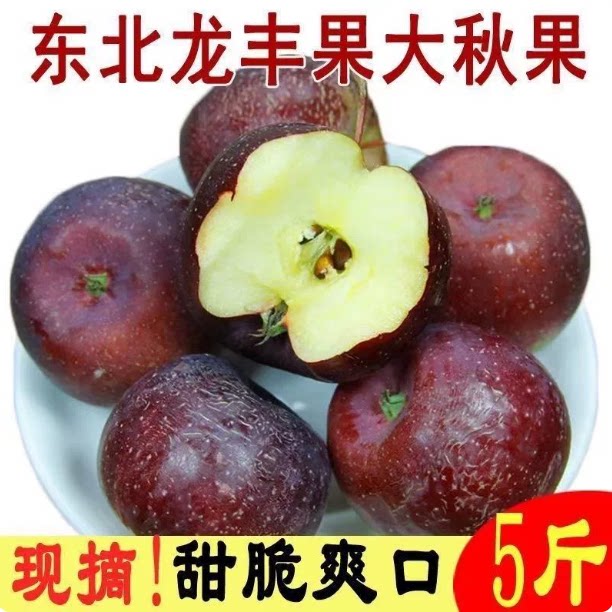 东北龙丰果大秋果新鲜当季水果酸甜特产小苹果海棠5沙果整箱包邮图片