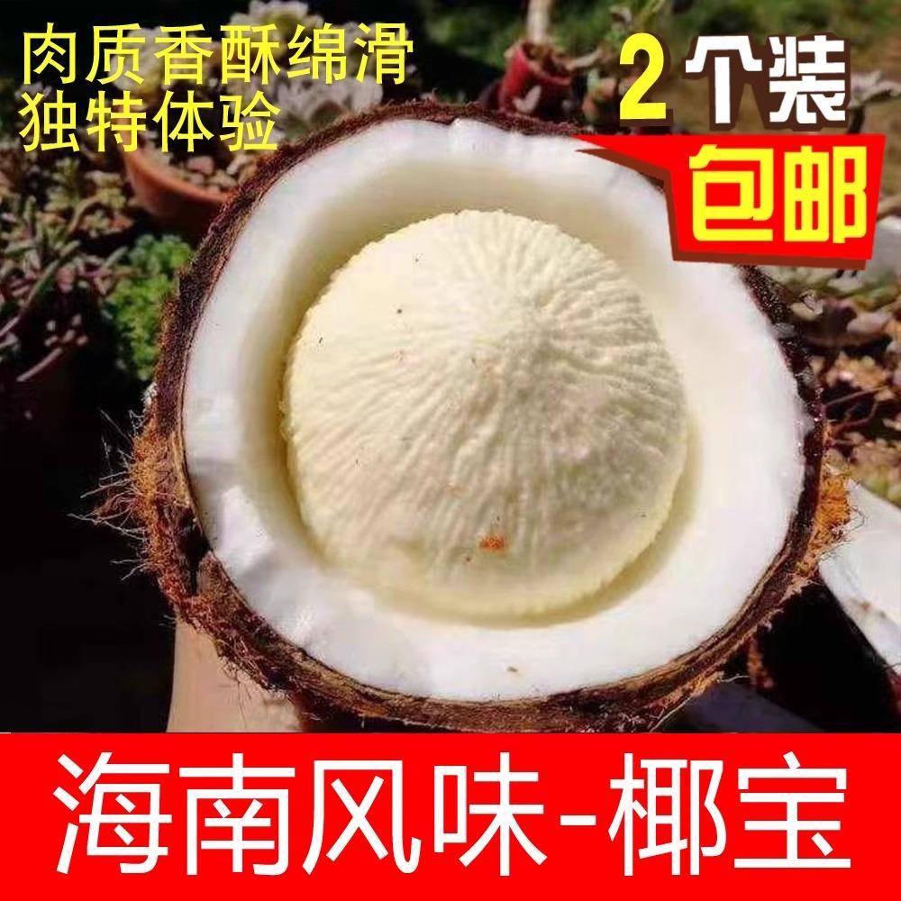 海南新鲜椰宝牛奶老椰子椰青椰皇4个装清甜多汁当季现摘整箱包邮