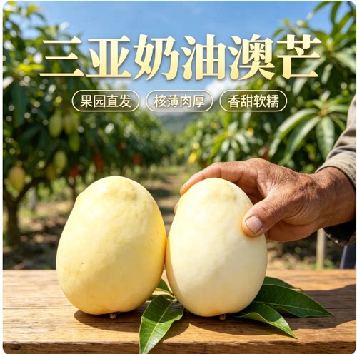 海南奶油澳芒 三亚特产核薄肉厚国产特大黄