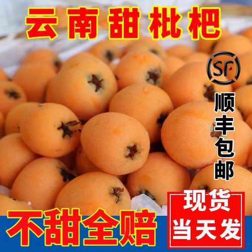 枇杷5斤新鲜水果产自云南蒙自米琵琶果易批把果五琵笆果星大枇杷