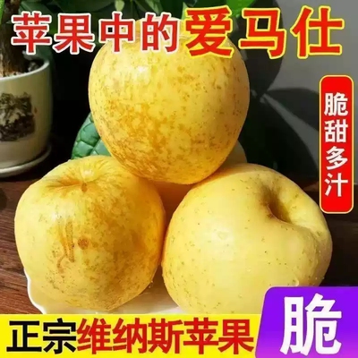 正宗山东维纳斯黄金苹果新鲜水果黄胖子奶油富士整箱10斤礼盒顺丰