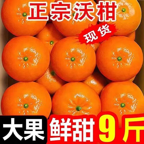 正宗新鲜沃柑橘子斤新鲜水果整箱柑橘现摘沙糖蜜橘砂糖包邮