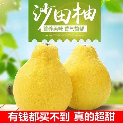 沙田柚正宗梅州柚梅县新鲜大柚子清甜白肉柚现摘当季孕妇香甜柚果