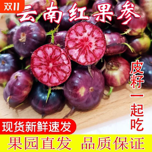云南高原特色红果参马关红果参新鲜早熟果小红果新奇果果蜘蛛果