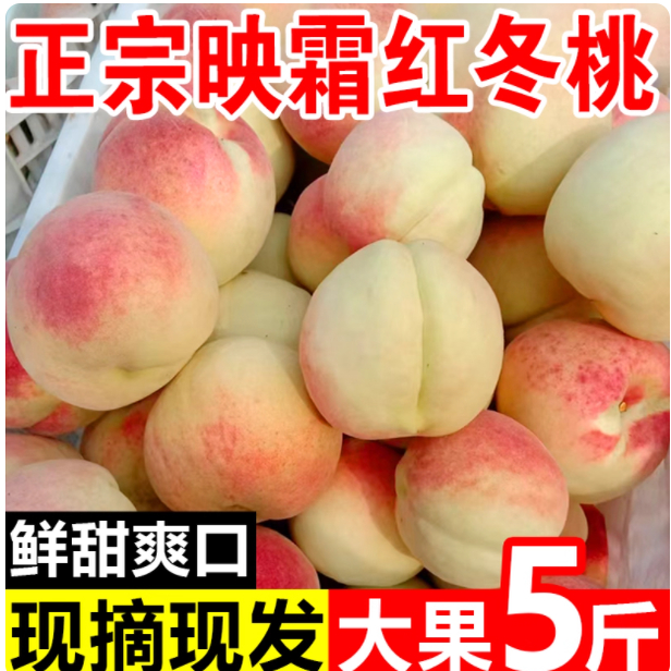 正宗映霜红冬桃现摘晚熟桃子孕妇水果金秋红蜜白桃白雪公主5斤