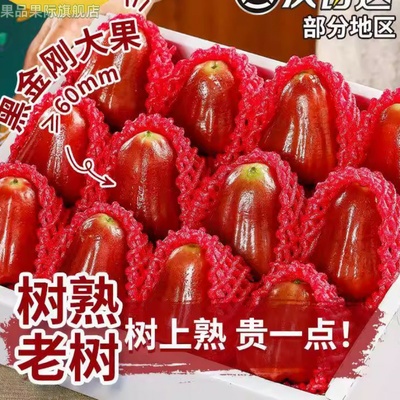 海南三亚黑金刚莲雾果新鲜当季整箱孕妇水果特礼盒大果顺丰包邮装