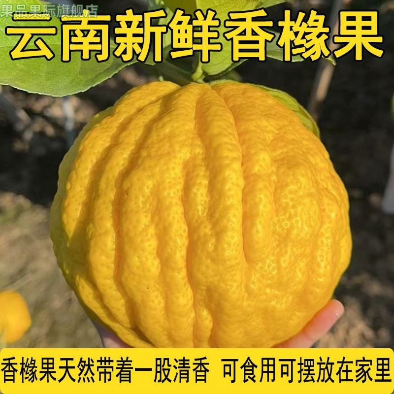 香橼果云南新鲜当季香橼鲜果食用观赏清香型水果农家香缘现摘现发