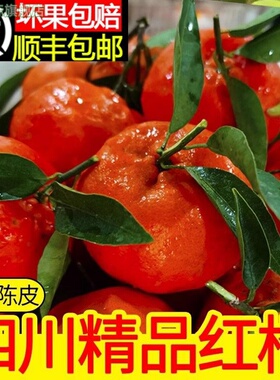 顺丰包邮川红橘鲜果四川古红橘重庆万州老品种大红袍水果新鲜当季
