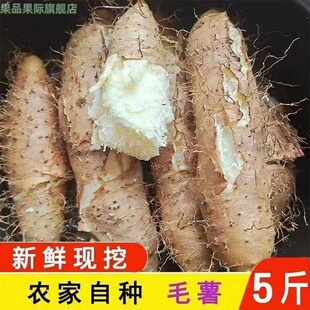 广东茂名毛薯5斤新鲜红薯沙地番薯地瓜白心红甜薯农家自种脚板薯