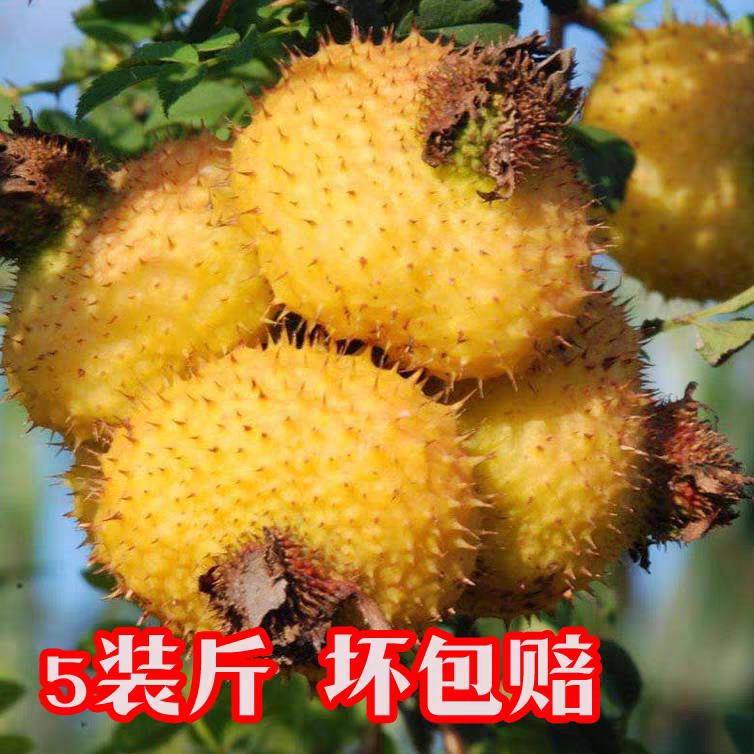 新鲜刺梨鲜果天然精选营养野生刺梨冻榨汁泡酒贵州特产原产地直供