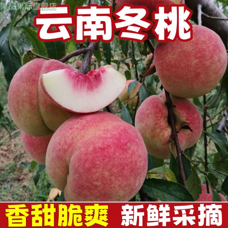 顺丰云南冬桃脆甜毛桃现摘正宗高山桃子精选大果整箱新鲜水果
