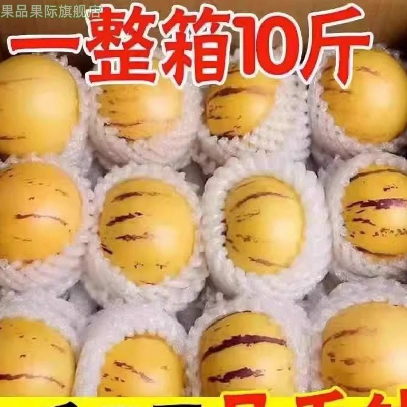 正宗人参果10斤新鲜水果当季树上熟黄肉大果圆果整箱包邮,水产肉类/新鲜蔬果/熟食,人参果,淘宝优惠券,粉丝福利购,淘宝优惠卷