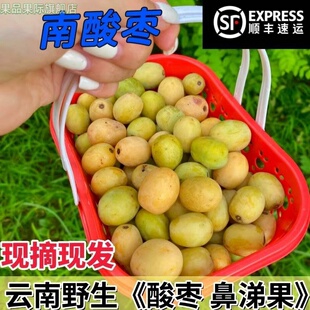 云南野生南酸枣鼻涕果新鲜五眼果现摘现发南酸枣黄酸枣孕妇酸枣