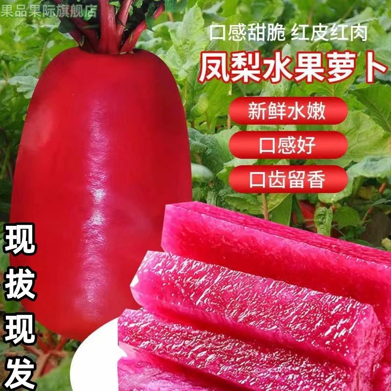 现拔新鲜紫美人凤梨红心水果萝卜胭脂萝卜红皮红肉脆甜萝卜泡菜5,水产肉类/新鲜蔬果/熟食,萝卜/胡萝卜,淘宝优惠券,粉丝福利购,淘宝优惠卷