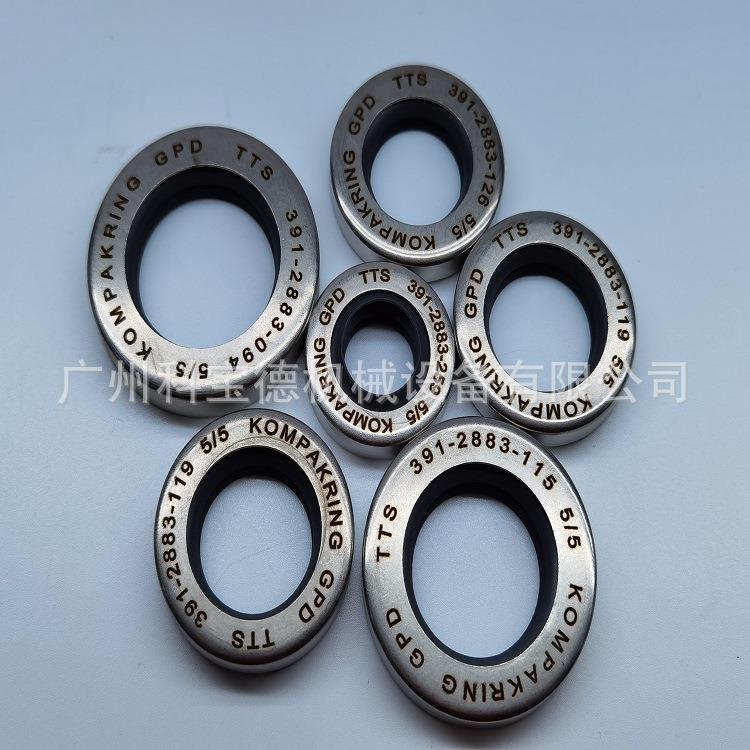 KOMPAKINGGPDTTS391-2883-119油封密封圈马达齿轮泵油封