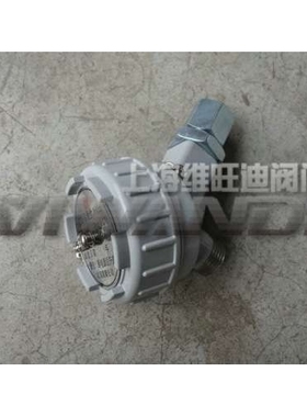 防爆接线盒EXDII CT6 CT4  EXDII BT4 BT6