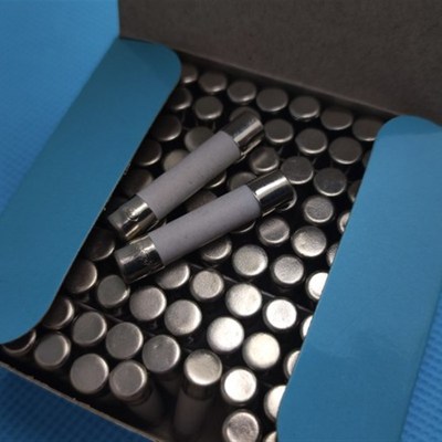 6*30陶瓷保险丝 熔断器  F30A250V  快熔断  整盒(100只)出售