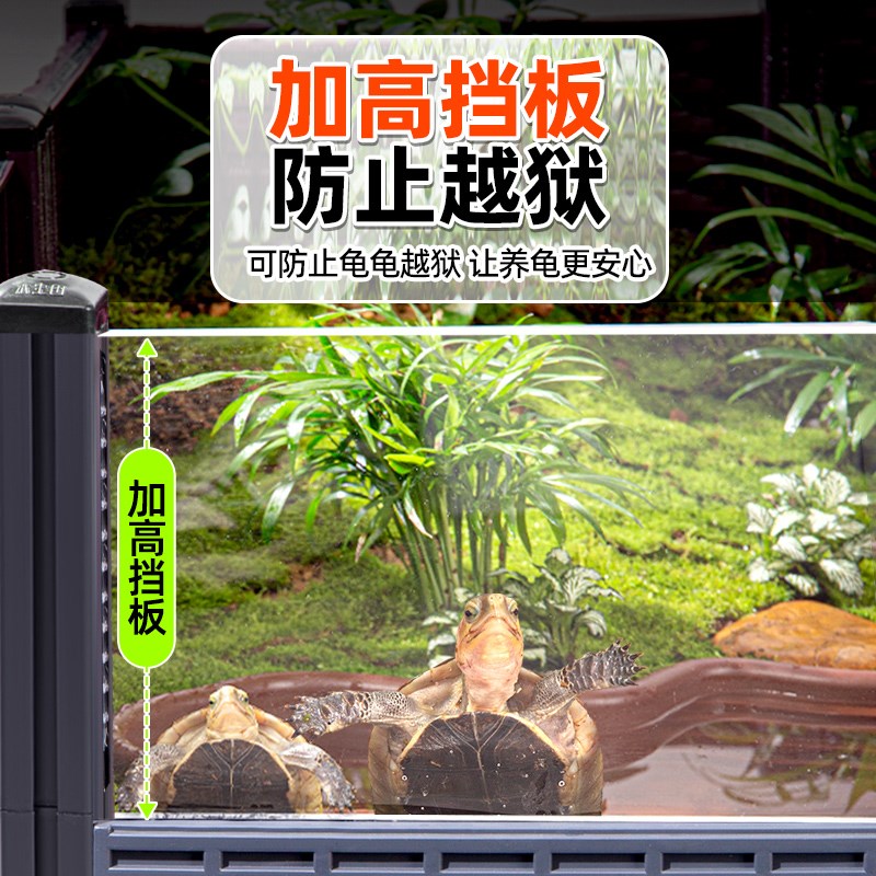 黄缘龟饲养箱安缘陆龟半水乌龟专用缸生态造景观赏盆养殖爬虫家用