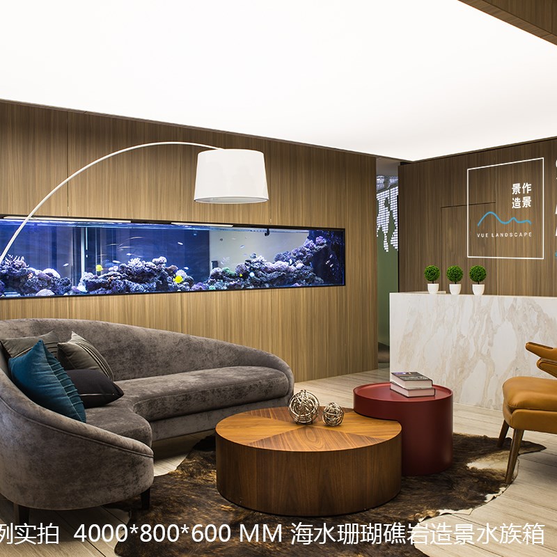 南京上门水族箱清理造景保养水草海水鱼珊瑚鱼缸办公工程定制服务