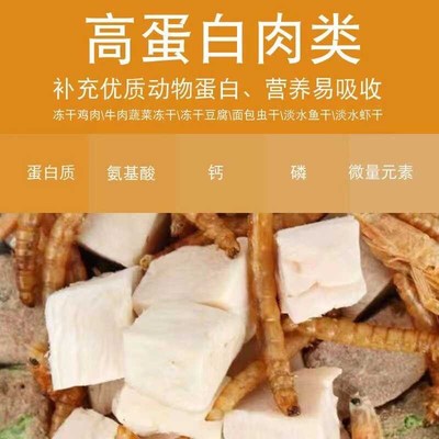 仓鼠粮食金丝熊营养主粮饲料面包虫豪华海鲜果蔬冻干用品小零食