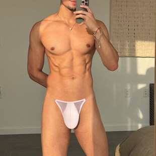 衩夏季 超薄款 高开叉低腰性感透气男生内裤 三角内裤 潮 透明网纱男士