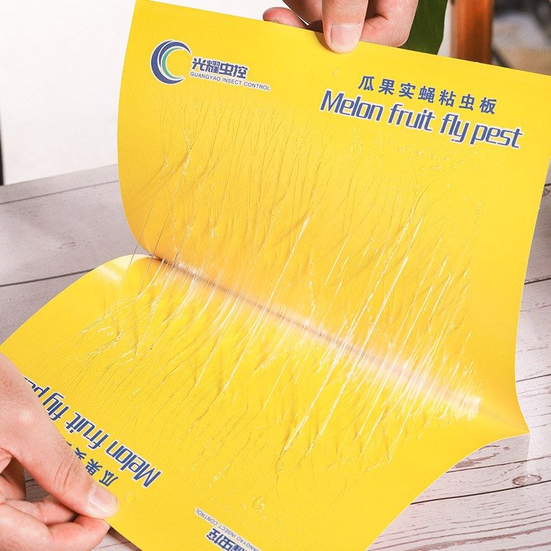 果实蝇息信素强力粘虫板防水针蜂果园大小实蝇针蜂诱捕器工厂,农机/农具/农膜,农用灭虫板/诱虫板,淘宝优惠券,粉丝福利购,淘宝优惠卷