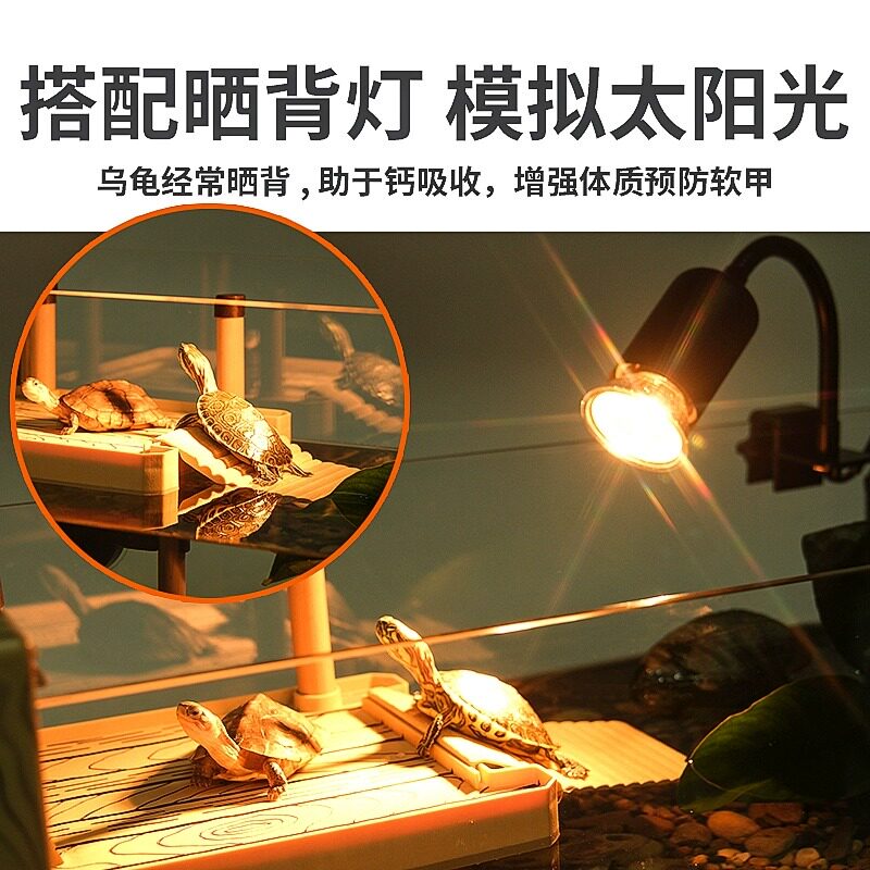 乌龟缸饲养专用造景箱小型客厅家用屋新款超白一体混养玻璃大鱼缸