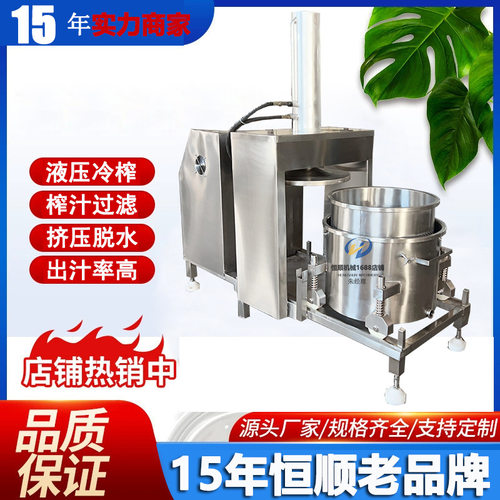 树叶麦苗浓浆汁液提取机 生姜姜汁高压萃取机 液压方式榨汁压榨机