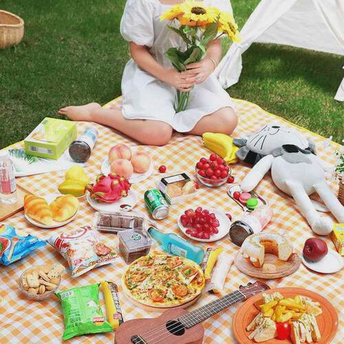 .Outdoor Thicken Pad Blanket Camping Beach Plaid Picnic Mat