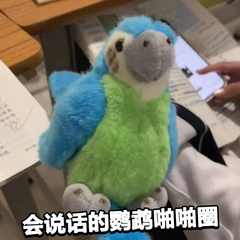 老师他玩手机鹦鹉啪啪圈玩偶会说话的告密拍拍手环公仔毛绒玩具