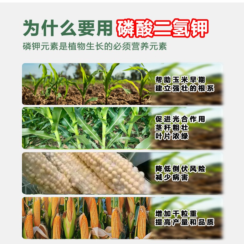 磷酸二氢钾促花保果闪溶增产增收促进花芽分化补充氮磷钾果蔬通用