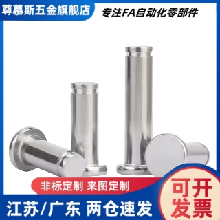 带肩扣环固定型铰炼销SHCCG SHCDG3 4 5 6 8 10 12平头带槽销轴